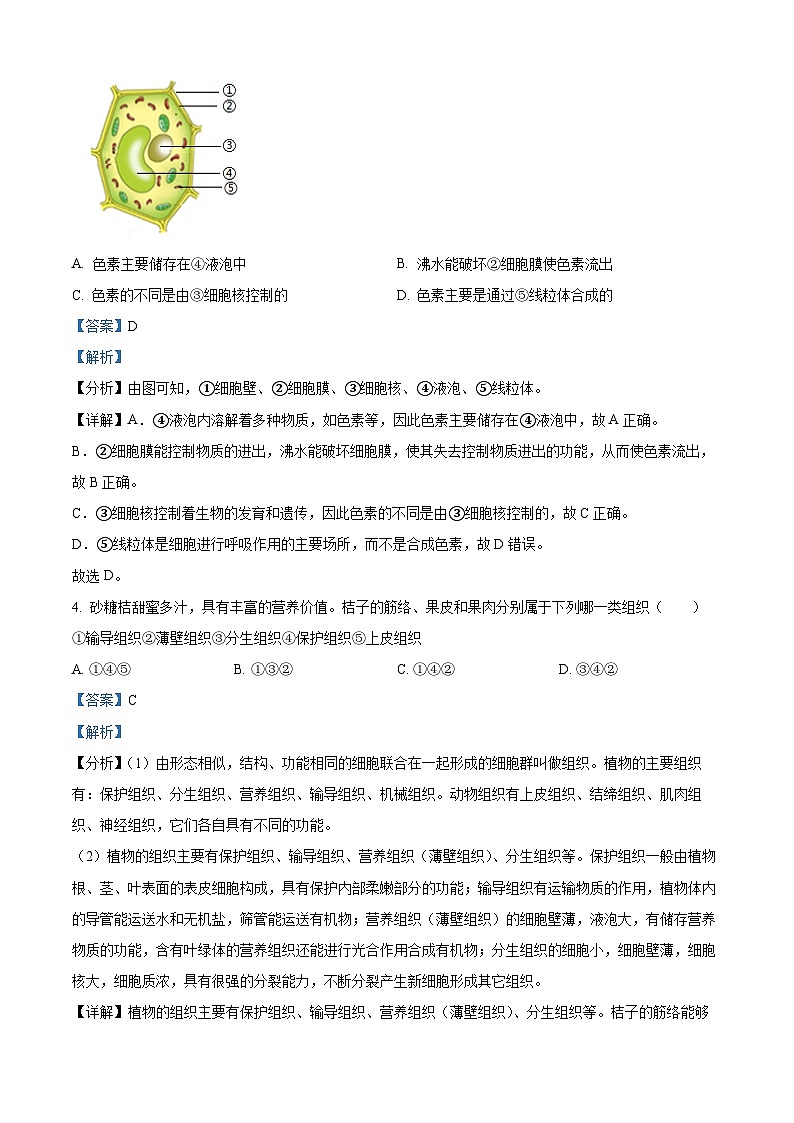 精品解析：江苏省盐城市阜宁县2025--2026学年七年级上学期期末模拟生物试题（解析版）第2页
