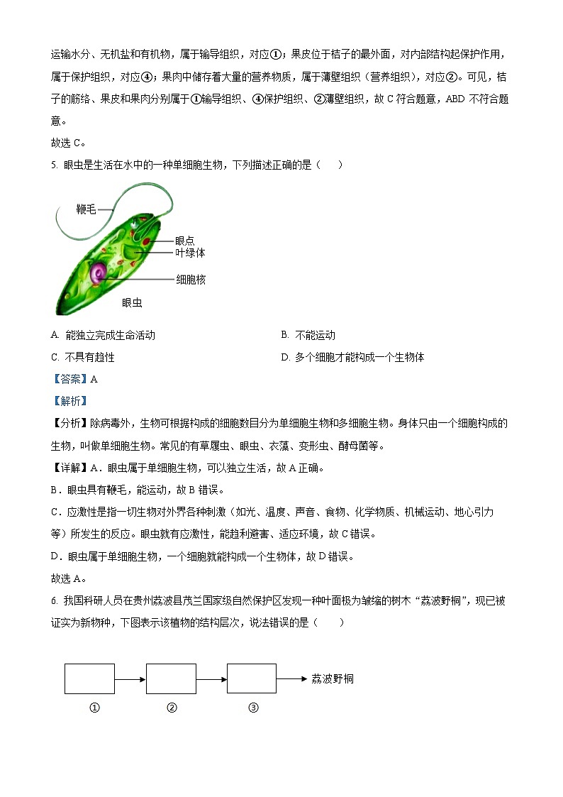 精品解析：江苏省盐城市阜宁县2025--2026学年七年级上学期期末模拟生物试题（解析版）第3页