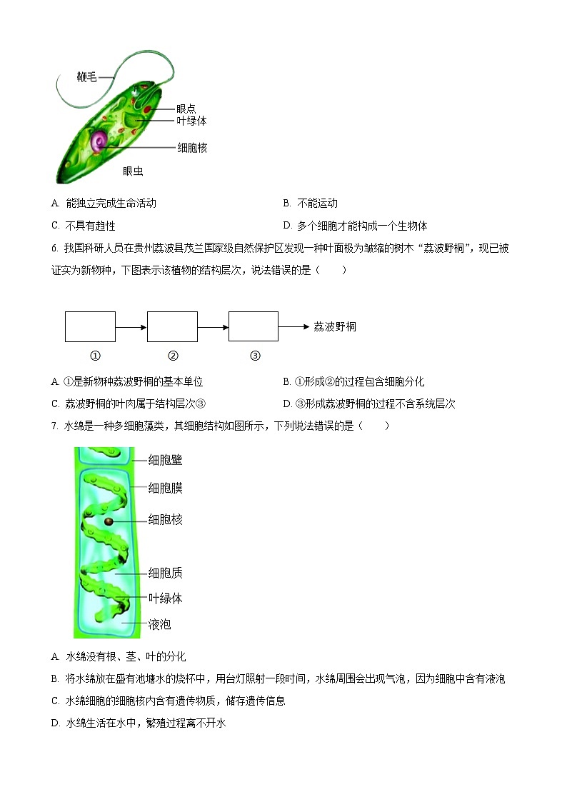 精品解析：江苏省盐城市阜宁县2025--2026学年七年级上学期期末模拟生物试题（原卷版）第2页