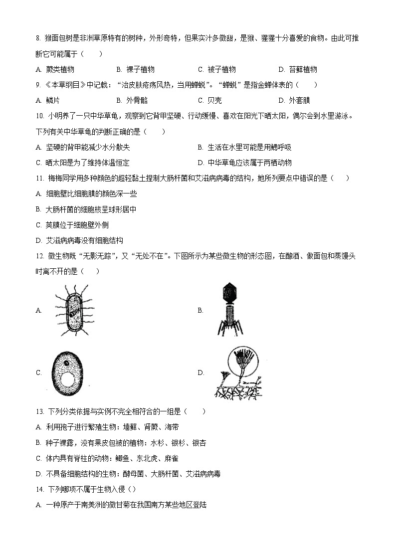精品解析：江苏省盐城市阜宁县2025--2026学年七年级上学期期末模拟生物试题（原卷版）第3页