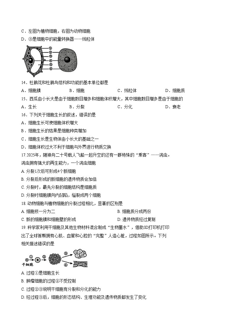 山东省淄博市博山区2025_2026学年第一学期七年级生物期末试卷（文字版，含答案）第3页