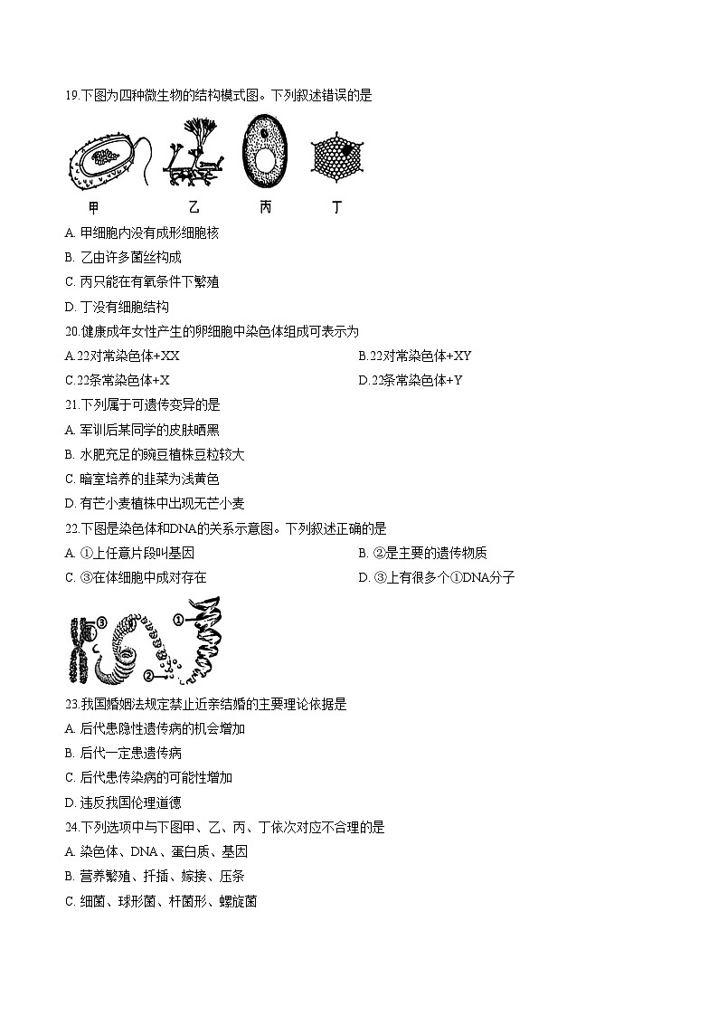 2026年1月福建省泉州市第七中学八年级上学期期末考试生物学试卷（文字版，含答案）第3页