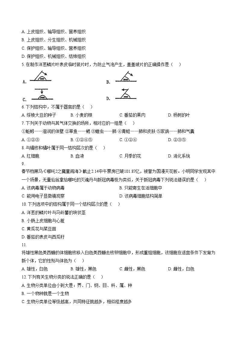 2025_2026学年福建省莆田市秀屿区七年级上学期期末考试生物学试卷（文字版，含答案）第2页