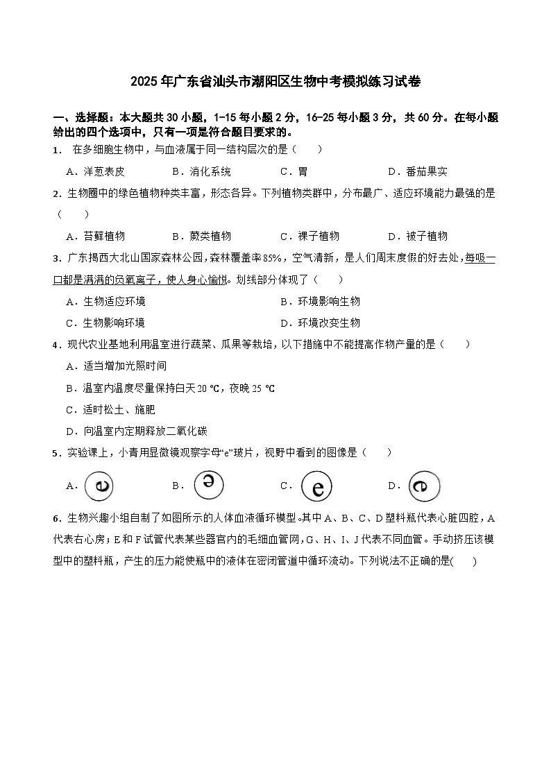 2025年广东省汕头市潮阳区生物中考模拟练习试卷（含解析）第1页