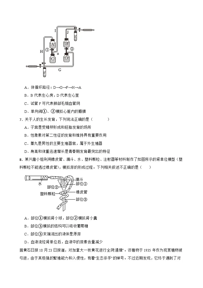 2025年广东省汕头市潮阳区生物中考模拟练习试卷（含解析）第2页