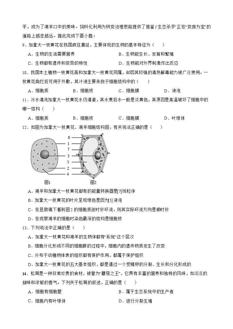 2025年广东省汕头市潮阳区生物中考模拟练习试卷（含解析）第3页