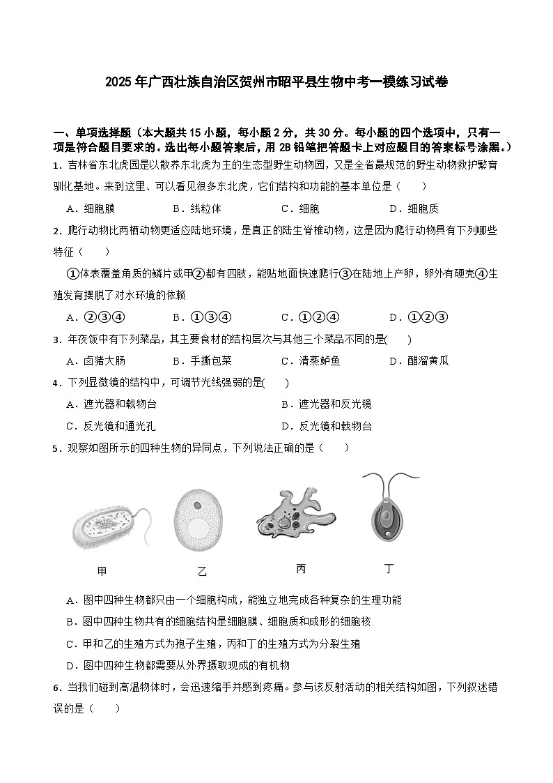 2025年广西壮族自治区贺州市昭平县生物中考一模练习试卷（含答案）第1页