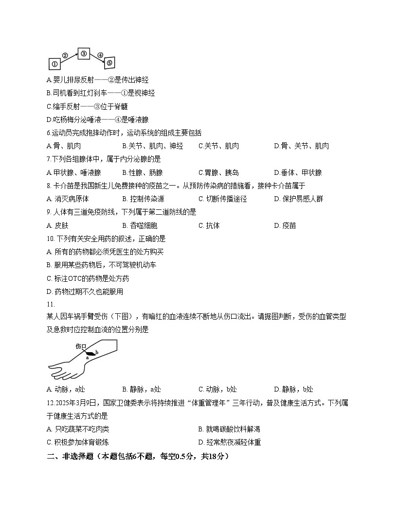 辽宁省盘锦市大洼区联考2025_2026学年八年级上学期期中考试生物试卷（文字版，含答案）第2页
