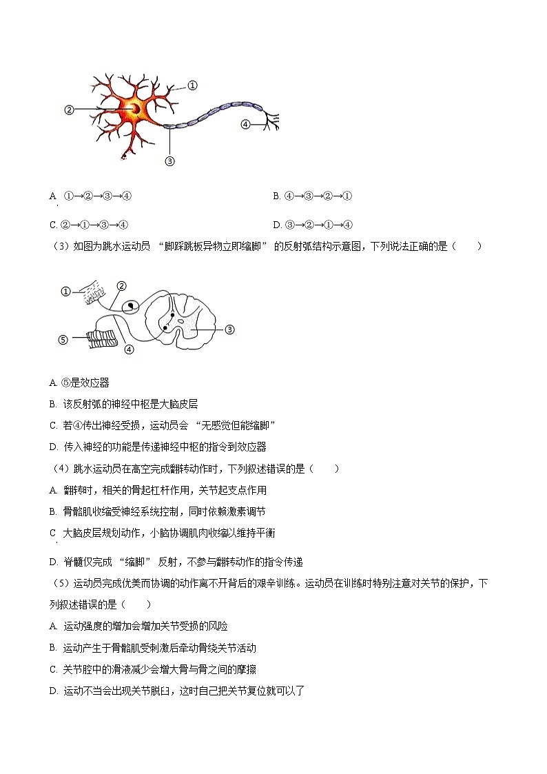 广东省汕尾市城区2025-2026学年八年级上学期期末生物学试题（含解析）第3页