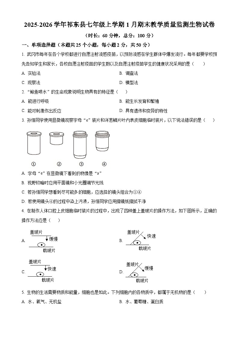 湖南省衡阳市祁东县2025-2026学年七年级上学期期末生物学试题（含解析）第1页
