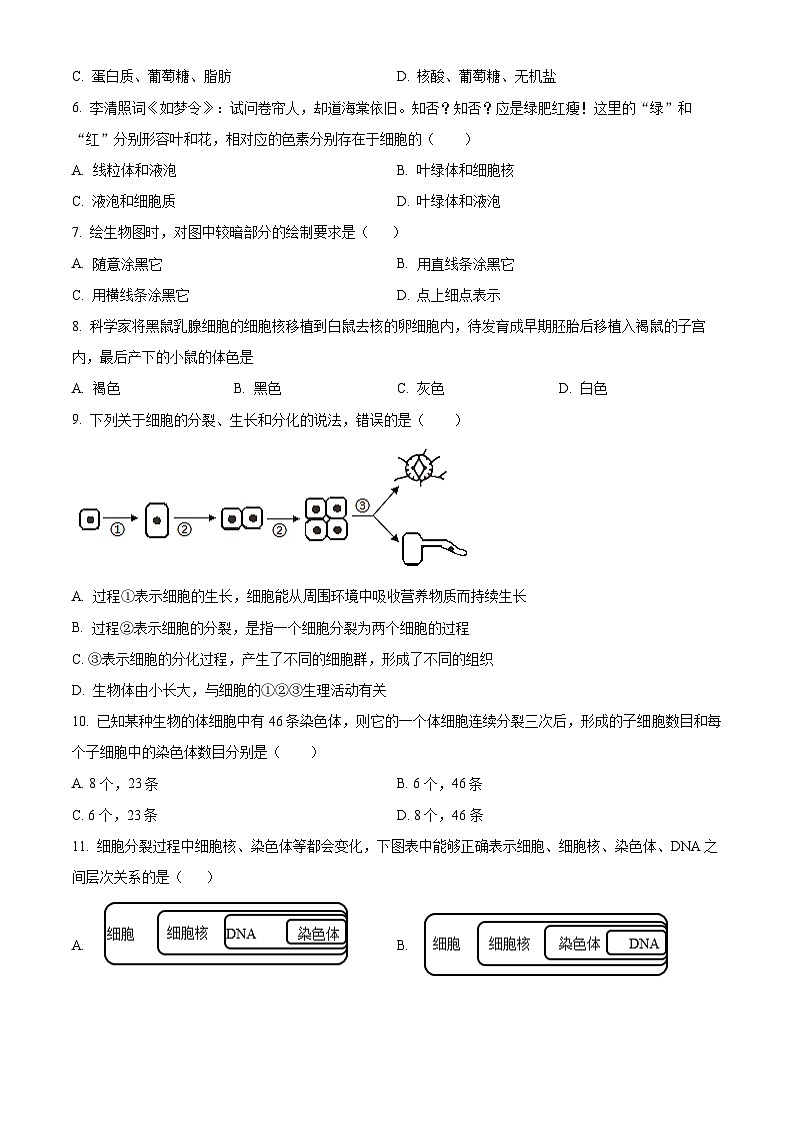 湖南省衡阳市祁东县2025-2026学年七年级上学期期末生物学试题（含解析）第2页