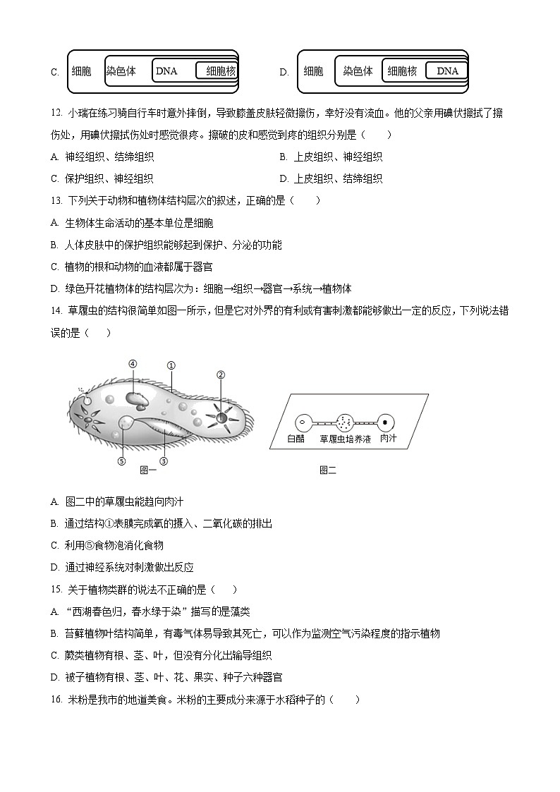 湖南省衡阳市祁东县2025-2026学年七年级上学期期末生物学试题（含解析）第3页