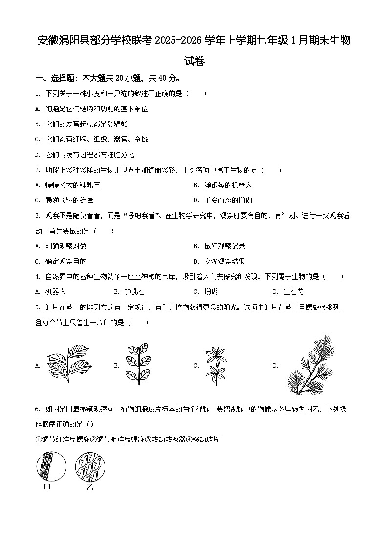 安徽省亳州市涡阳县2025-2026学年七年级上学期期末生物学试题（有解析）第1页