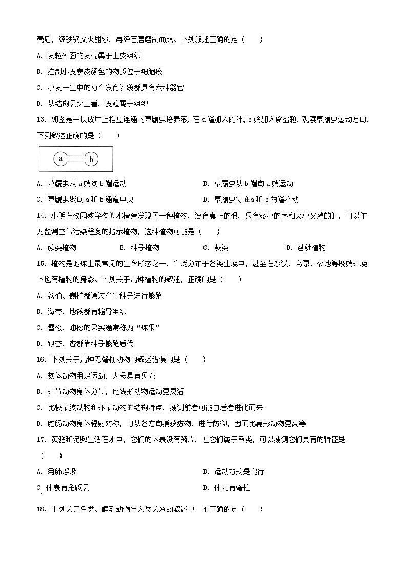 安徽省亳州市涡阳县2025-2026学年七年级上学期期末生物学试题（有解析）第3页