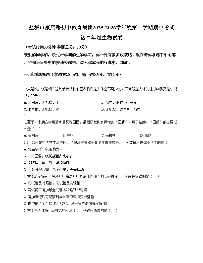 江苏省盐城市康居路初中教育集团2025_2026学年八年级上学期期中考试生物试卷（文字版，含答案）第1页