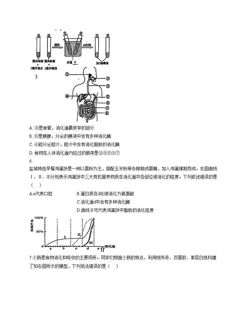 江苏省盐城市康居路初中教育集团2025_2026学年八年级上学期期中考试生物试卷（文字版，含答案）第2页