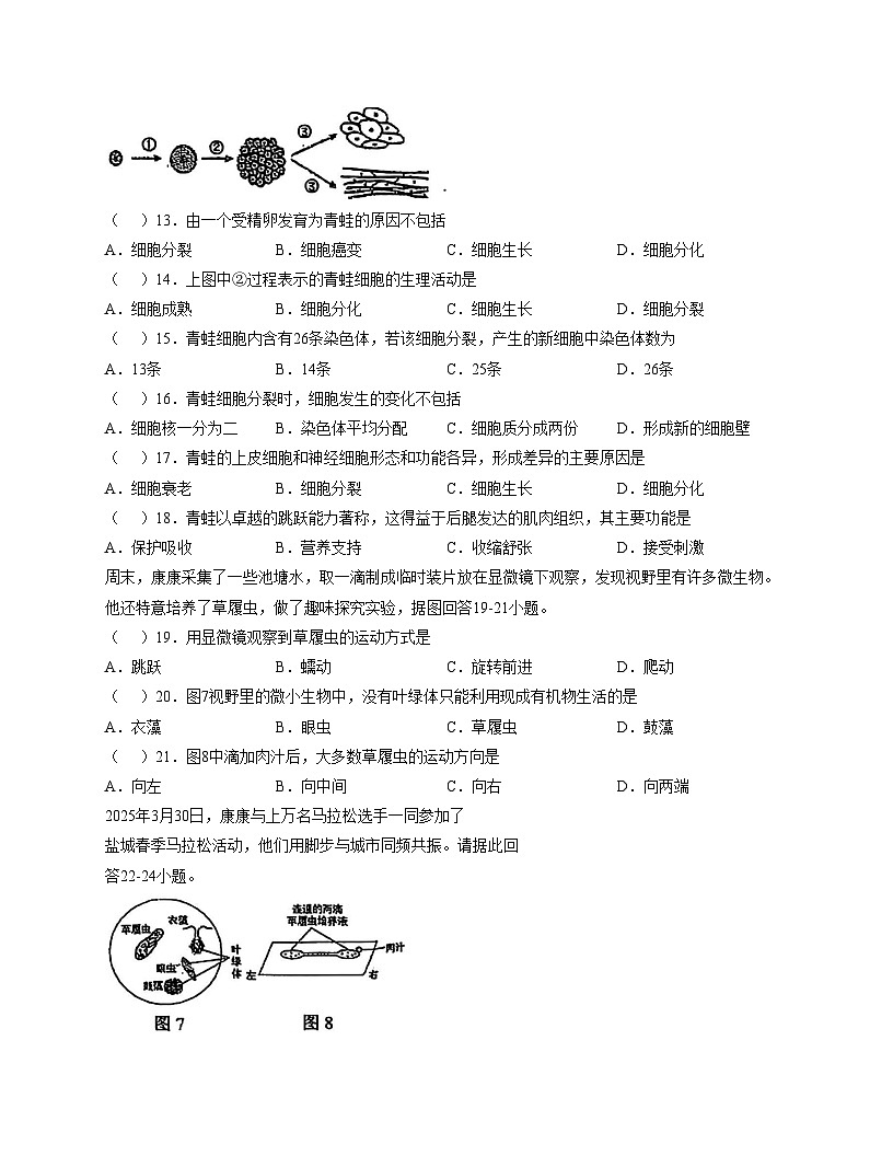 江苏省盐城市康居路初中教育集团2025_2026学年七年级上学期期中考试生物试卷（文字版，含答案）第3页