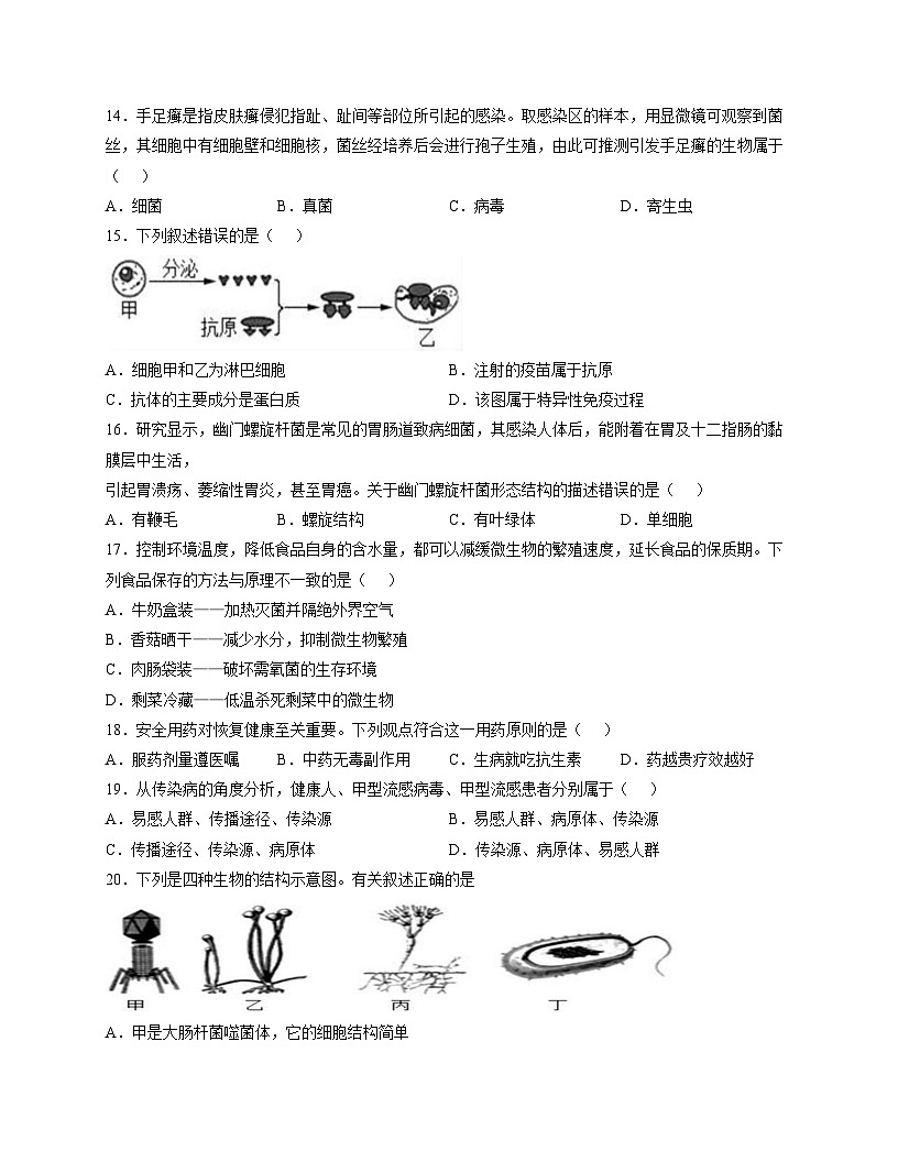 广东省韶关市新丰县2025_2026学年八年级上学期期中学业水平监测生物试卷（文字版，含答案)第3页
