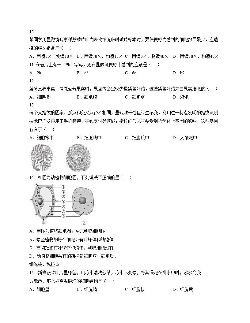 广东省韶关市新丰县2025_2026学年七年级上学期期中学业水平监测生物试卷（文字版，含答案）第3页