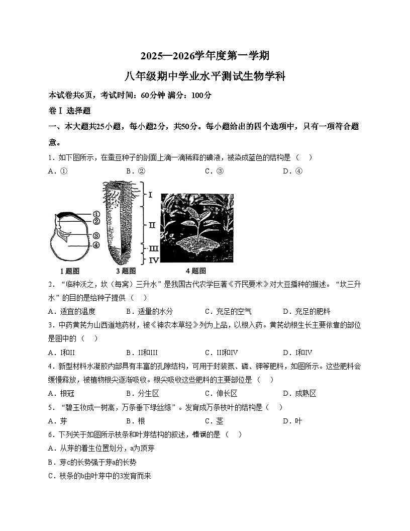 河北省石家庄市四十三中学2025—2026年八年级上期中考试生物试卷（文字版，含答案）第1页