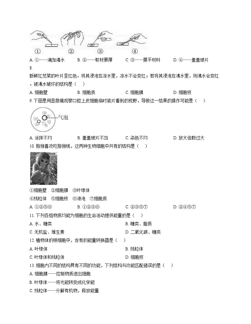 北京市东直门中学2025_2026学年七年级上学期期中考试生物试卷（文字版，含答案）第2页