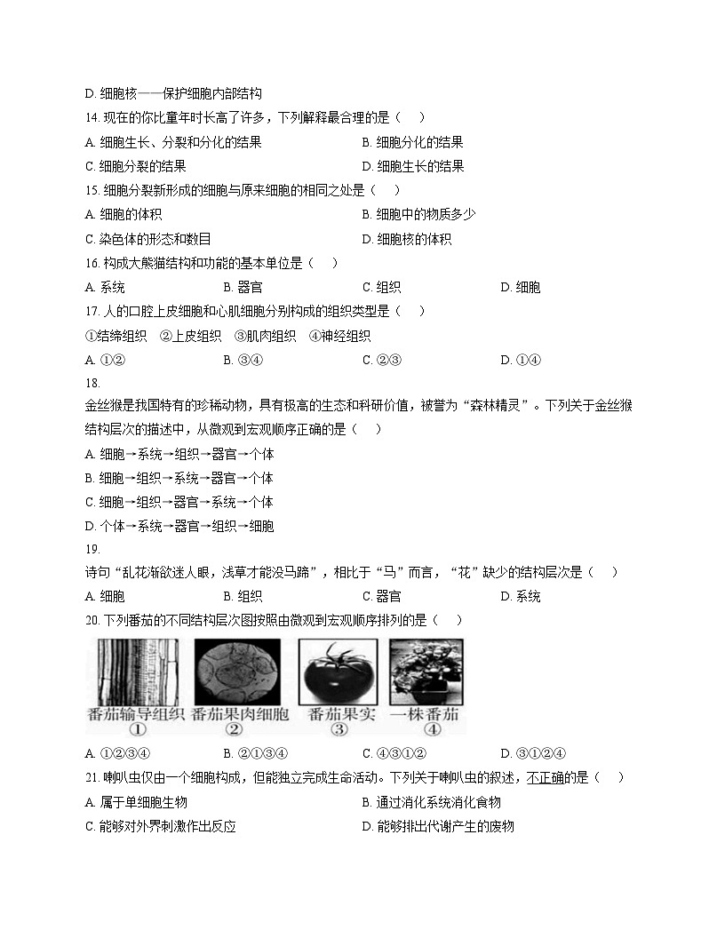北京市东直门中学2025_2026学年七年级上学期期中考试生物试卷（文字版，含答案）第3页