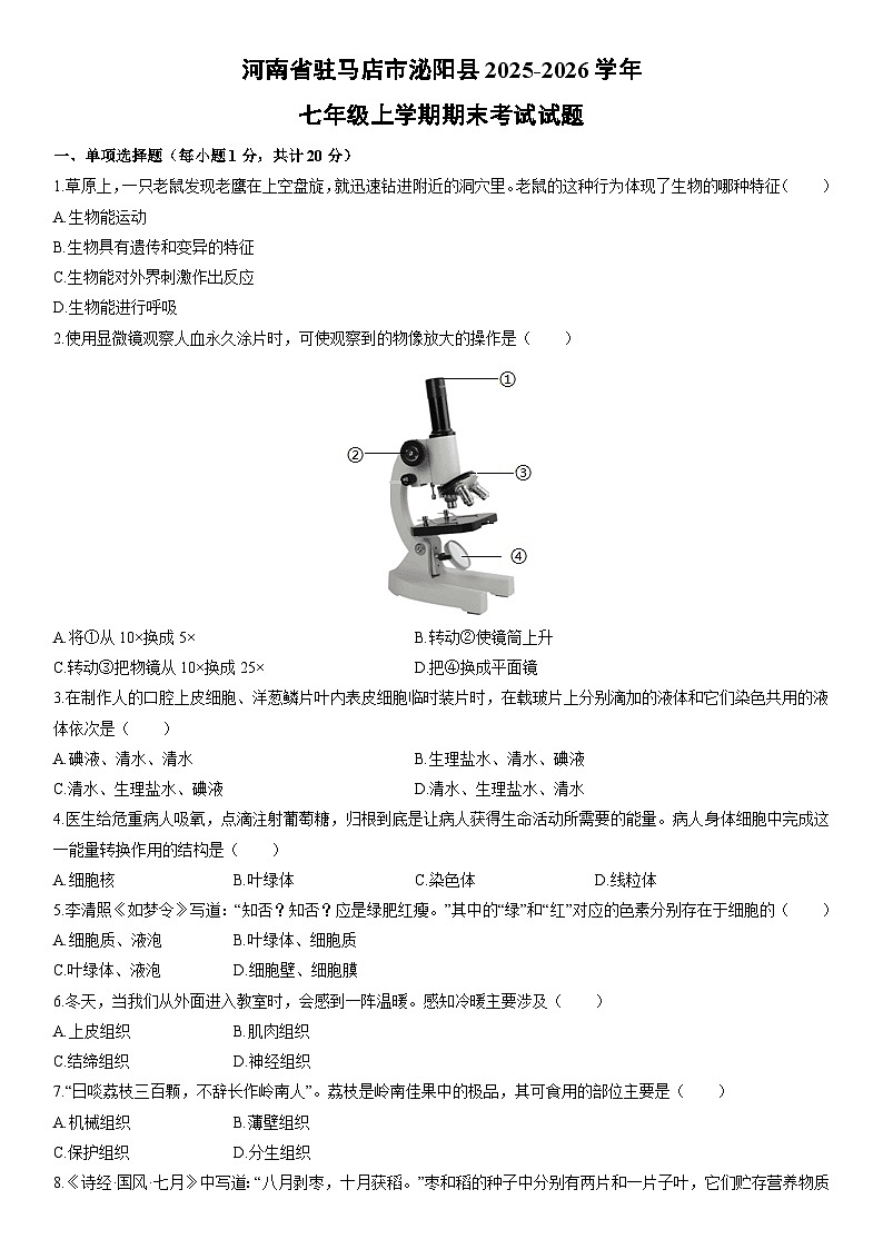 2025-2026学年河南省驻马店市泌阳县七年级上学期期末考试生物试卷（学生版）第1页