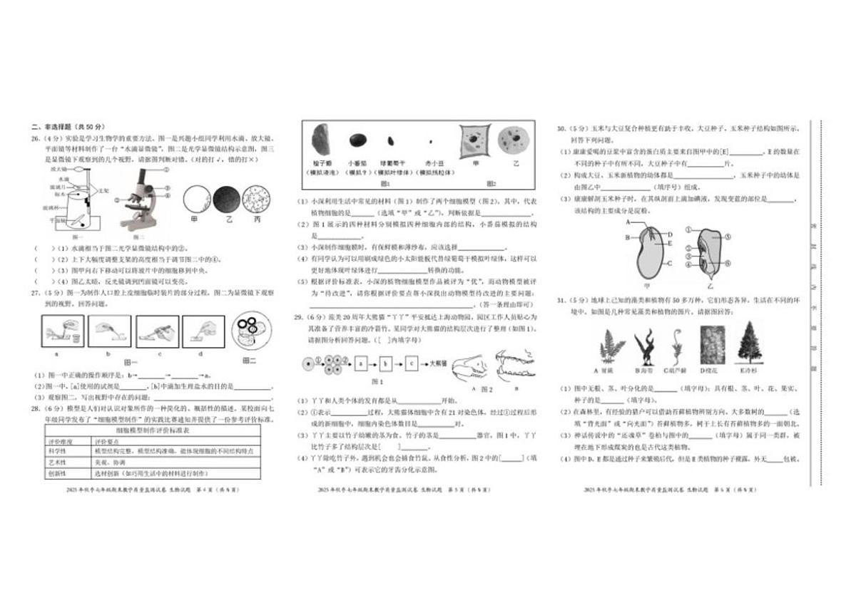 2025-2026学年福建省泉州市泉港区七年级上学期1月期末考试生物试卷（含答案）第2页