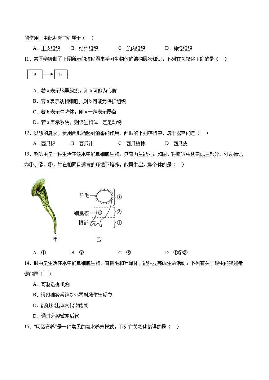 2025-2026学年广东省广州市增城区七年级上学期1月期末考试生物试卷（含答案）第3页