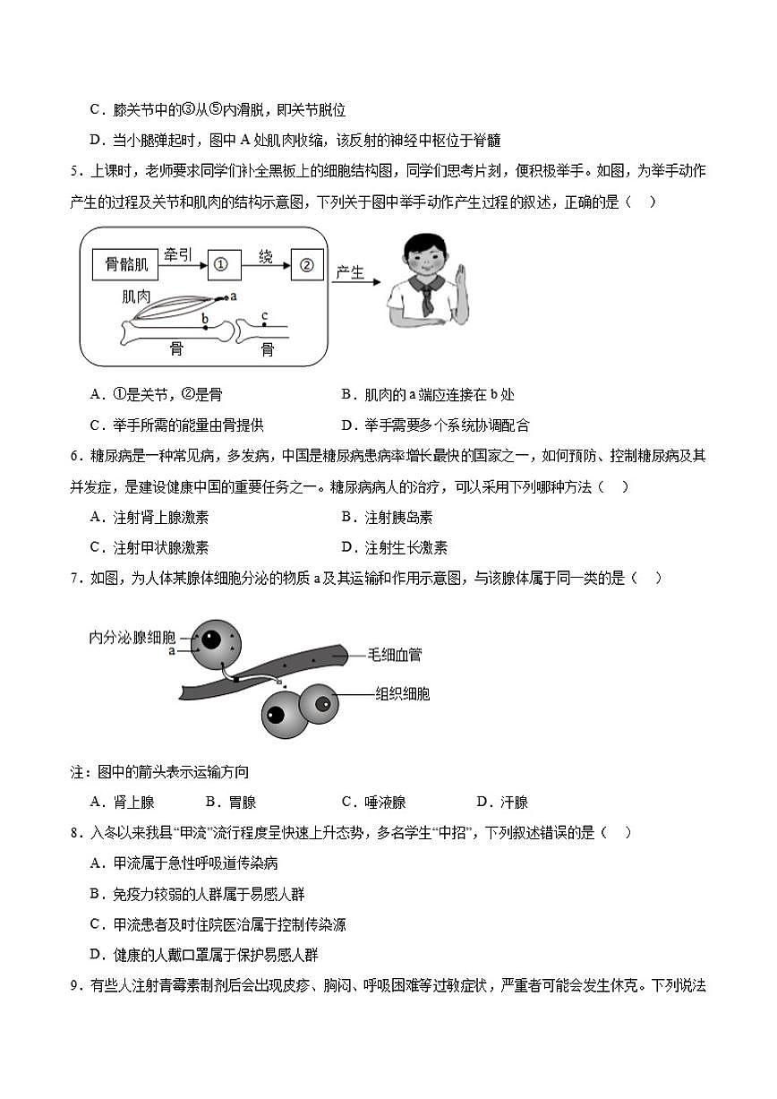 2025-2026学年四川省绵阳市涪城区八年级上学期1月期末考试生物试卷（含答案）第2页