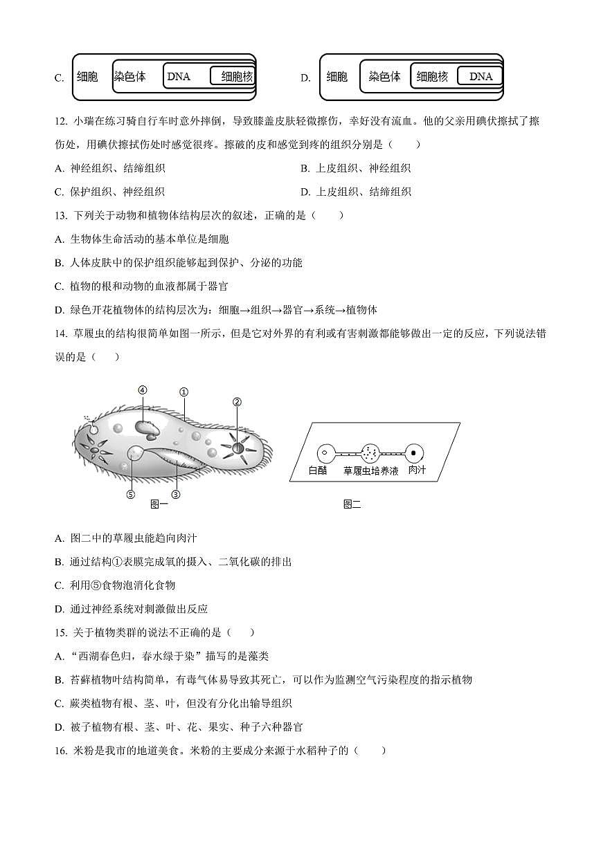 湖南省衡阳市祁东县2025-2026学年七年级上学期期末生物学试题（有解析）第3页