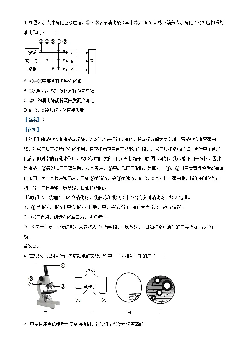 广东省揭阳真理中学九年级上学期第二次月考生物试题（解析版）-A4第2页