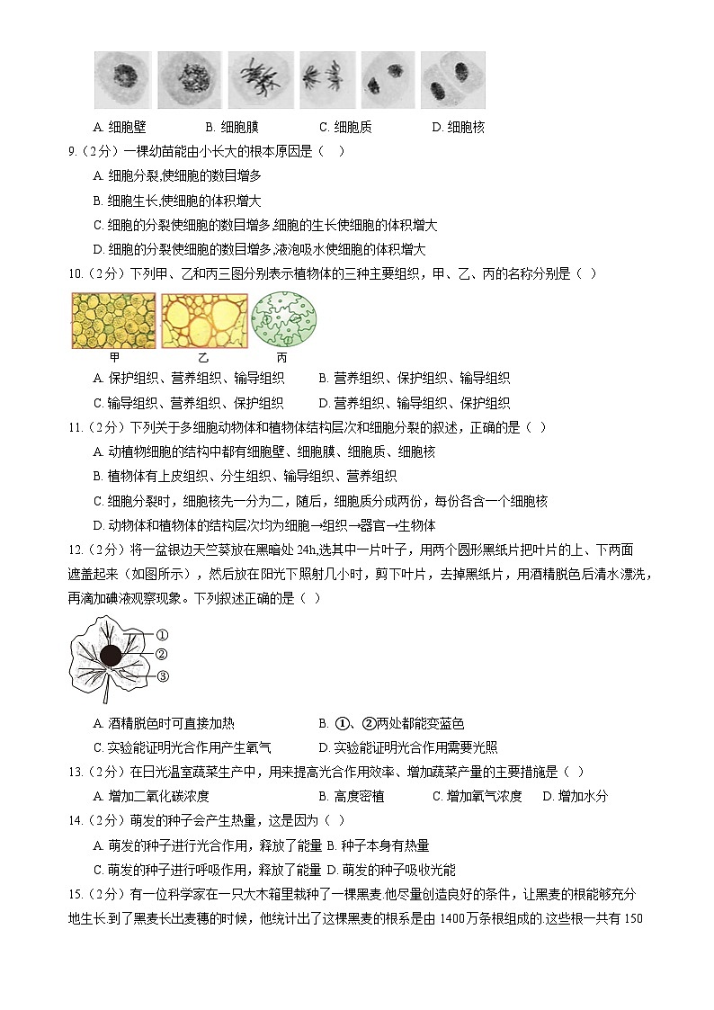 广东省梅州市七年级上学期期末考试生物模拟练习（二）-A4第2页