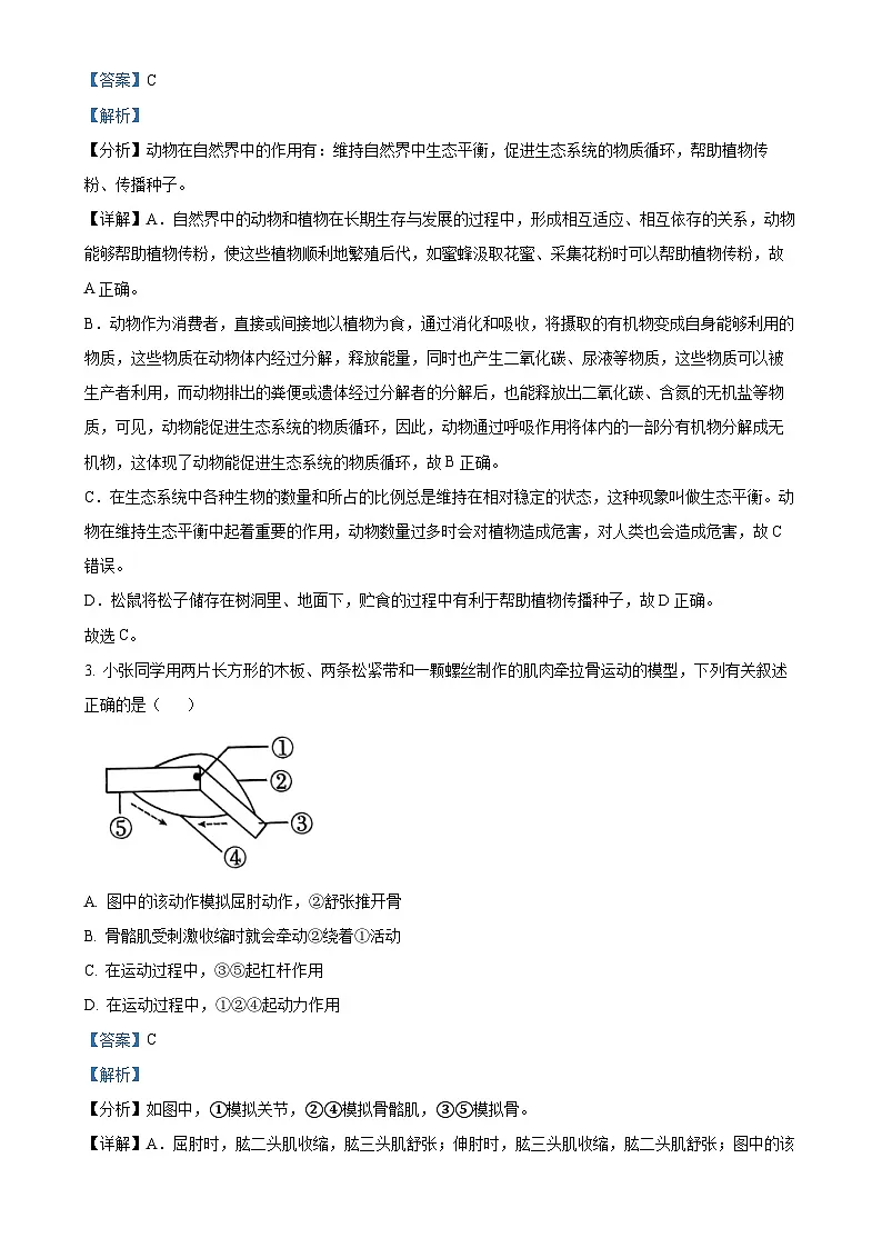 广东省普宁市第二中学八年级上学期第二次月考生物试题（解析版）-A4第2页