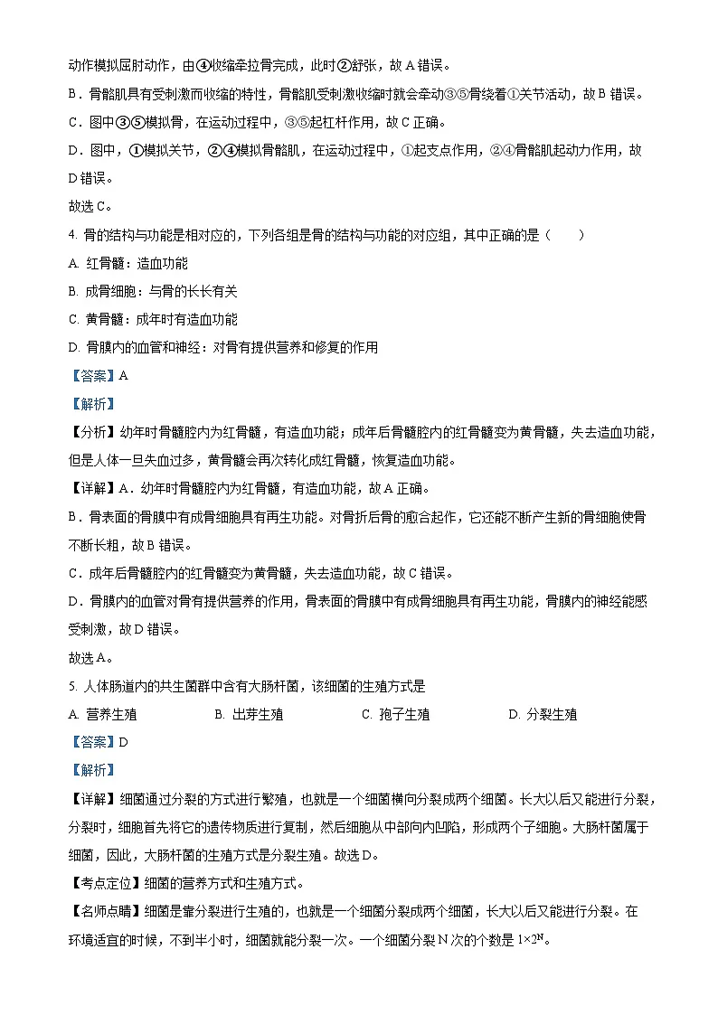 广东省普宁市第二中学八年级上学期第二次月考生物试题（解析版）-A4第3页