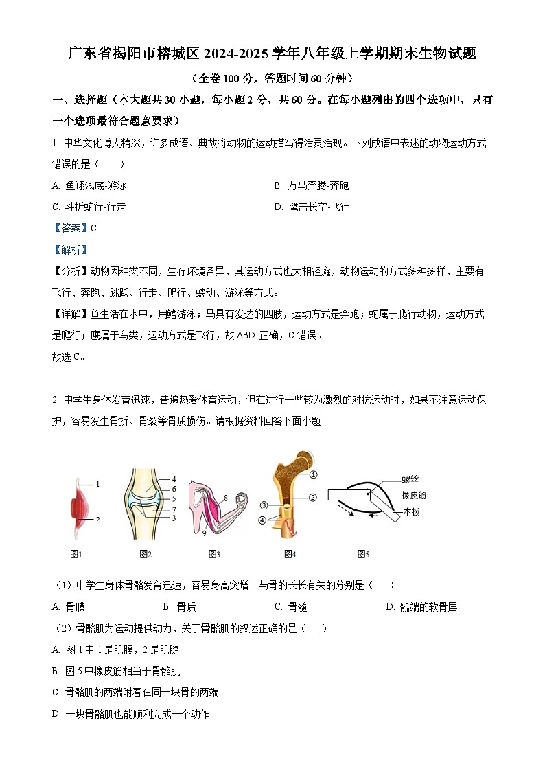 广东省揭阳市榕城区八年级上学期期末生物试题（解析版）-A4第1页