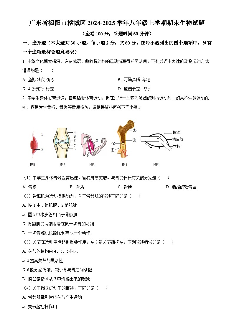 广东省揭阳市榕城区八年级上学期期末生物试题（原卷版）-A4第1页