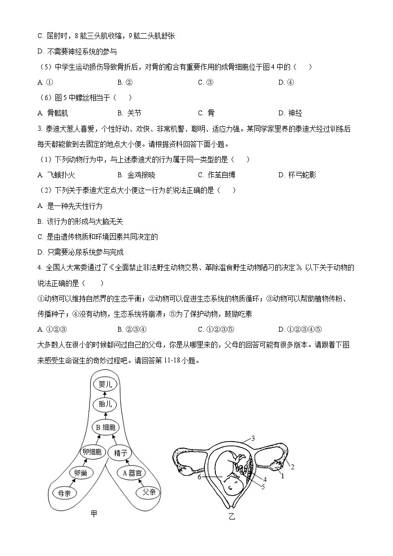 广东省揭阳市榕城区八年级上学期期末生物试题（原卷版）-A4第2页