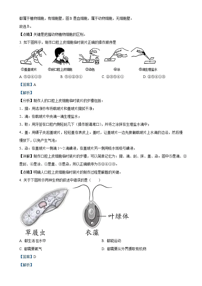 2025年广东省江门市中考一模生物试题（解析版）-A4第2页