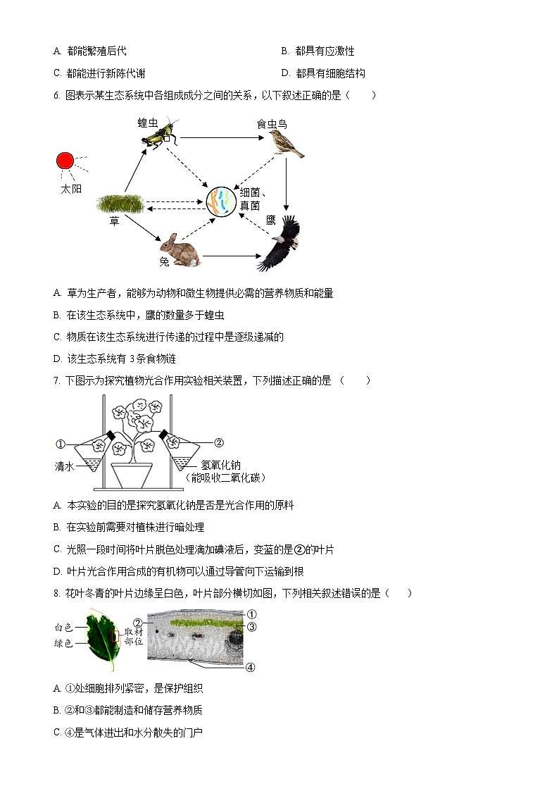 2025年广东省江门市中考一模生物试题（原卷版）-A4第2页