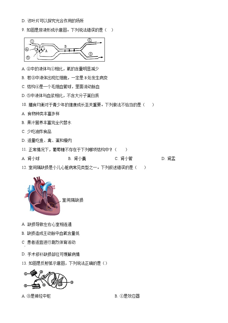 2025年广东省江门市中考一模生物试题（原卷版）-A4第3页