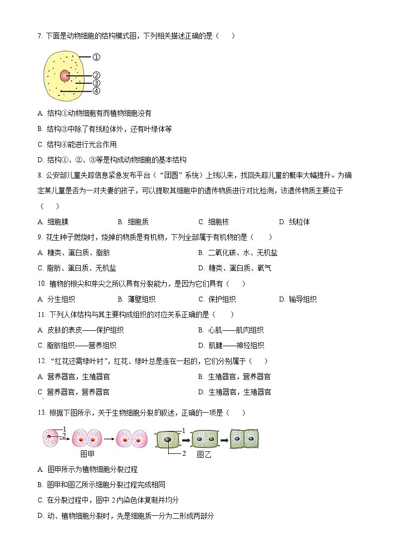 广东省揭阳市揭东区七年级上学期期末生物试题（原卷版）-A4第2页