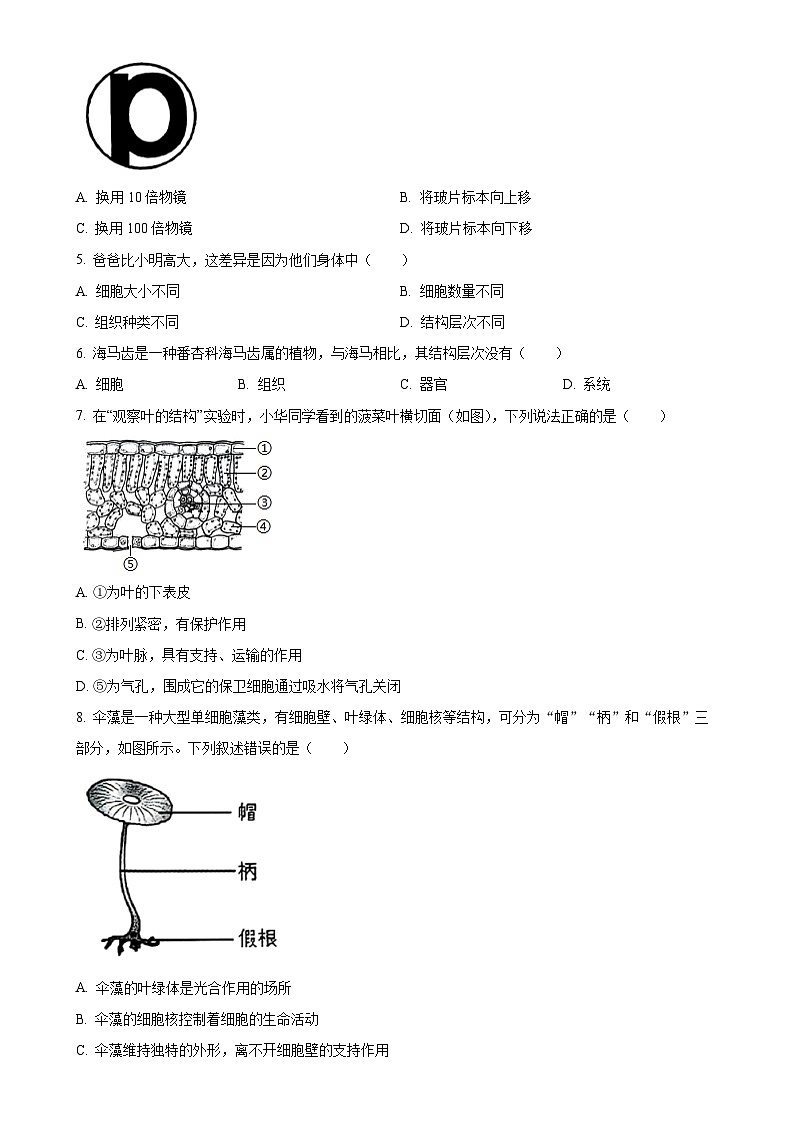 广东省揭阳市普宁市九年级上学期期末生物试题（原卷版）-A4第2页