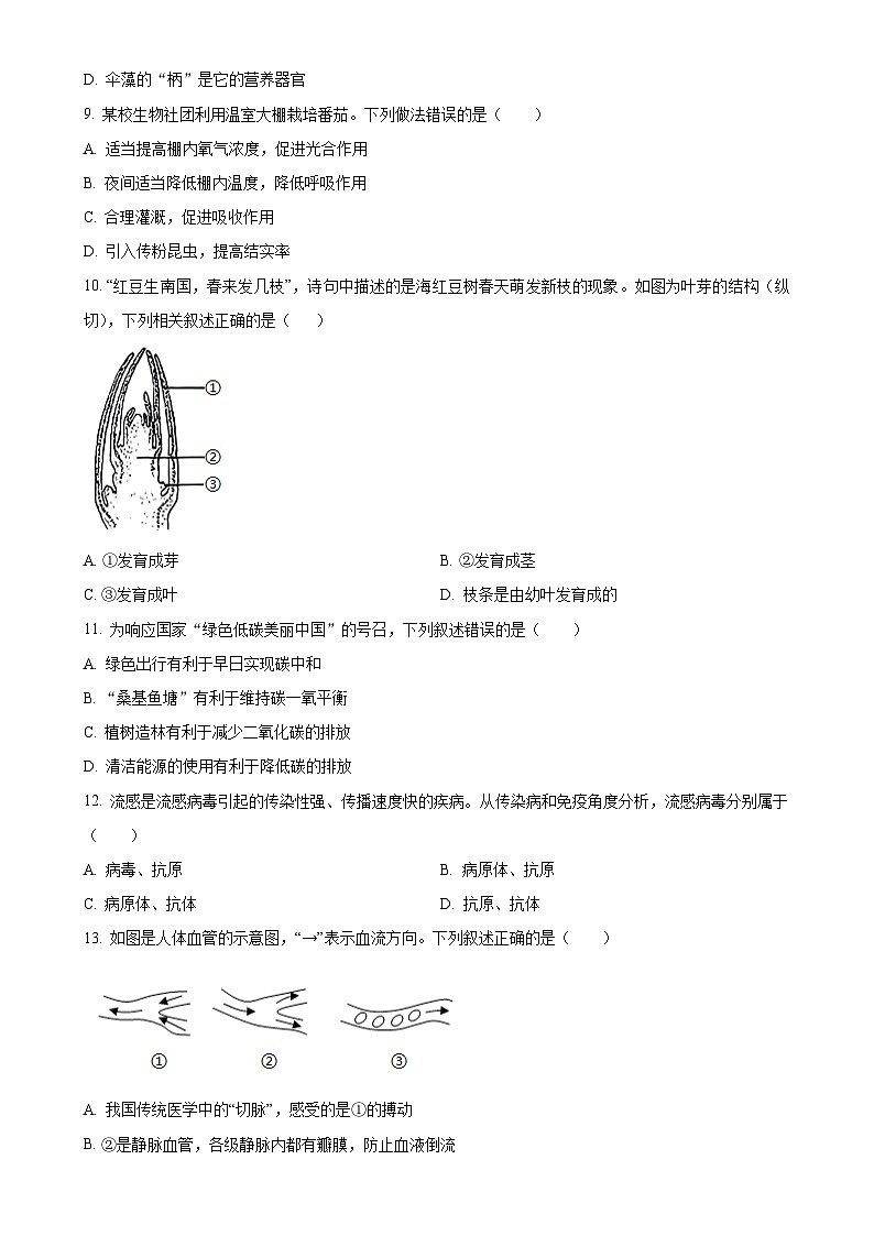 广东省揭阳市普宁市九年级上学期期末生物试题（原卷版）-A4第3页