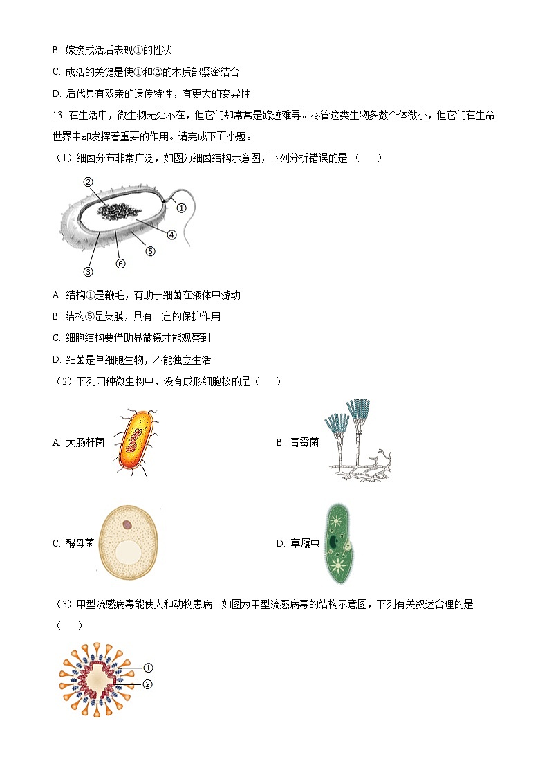 广东省揭阳市揭西县八年级上学期期末生物试题（原卷版）-A4第3页