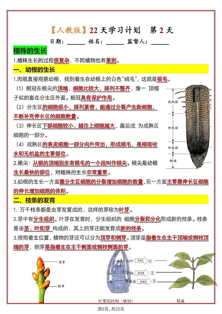 2024版人教版七年级下册生物知识清单22天学习计划第2页