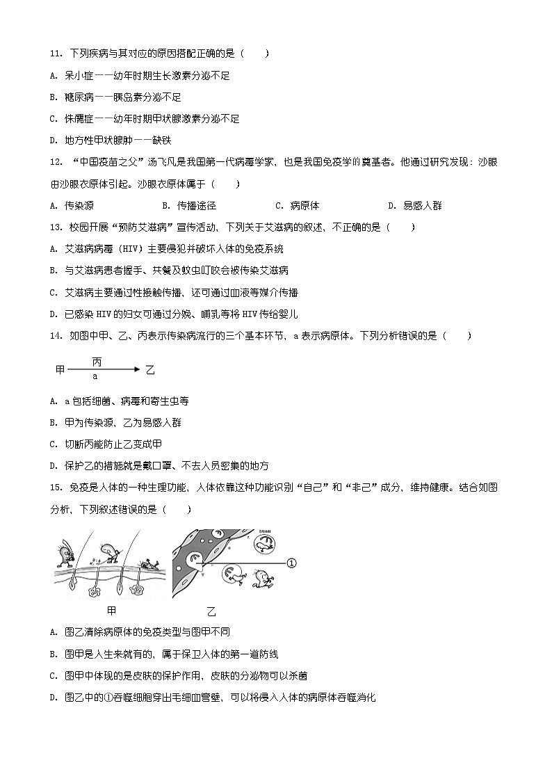 四川省泸州市龙马潭区2025-2026学年八年级上学期期末生物学试题（有解析）第3页