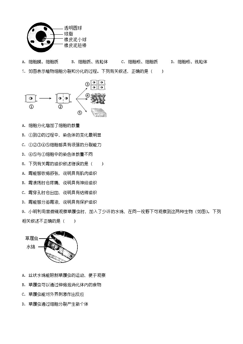 云南省大理州云龙县2025-2026学年七年级上学期期末生物学试题（有解析）第2页