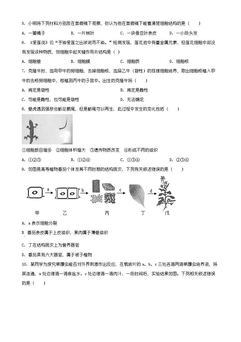 安徽省芜湖市弋江区2025-2026学年七年级上学期期末生物学试题（有解析）第2页