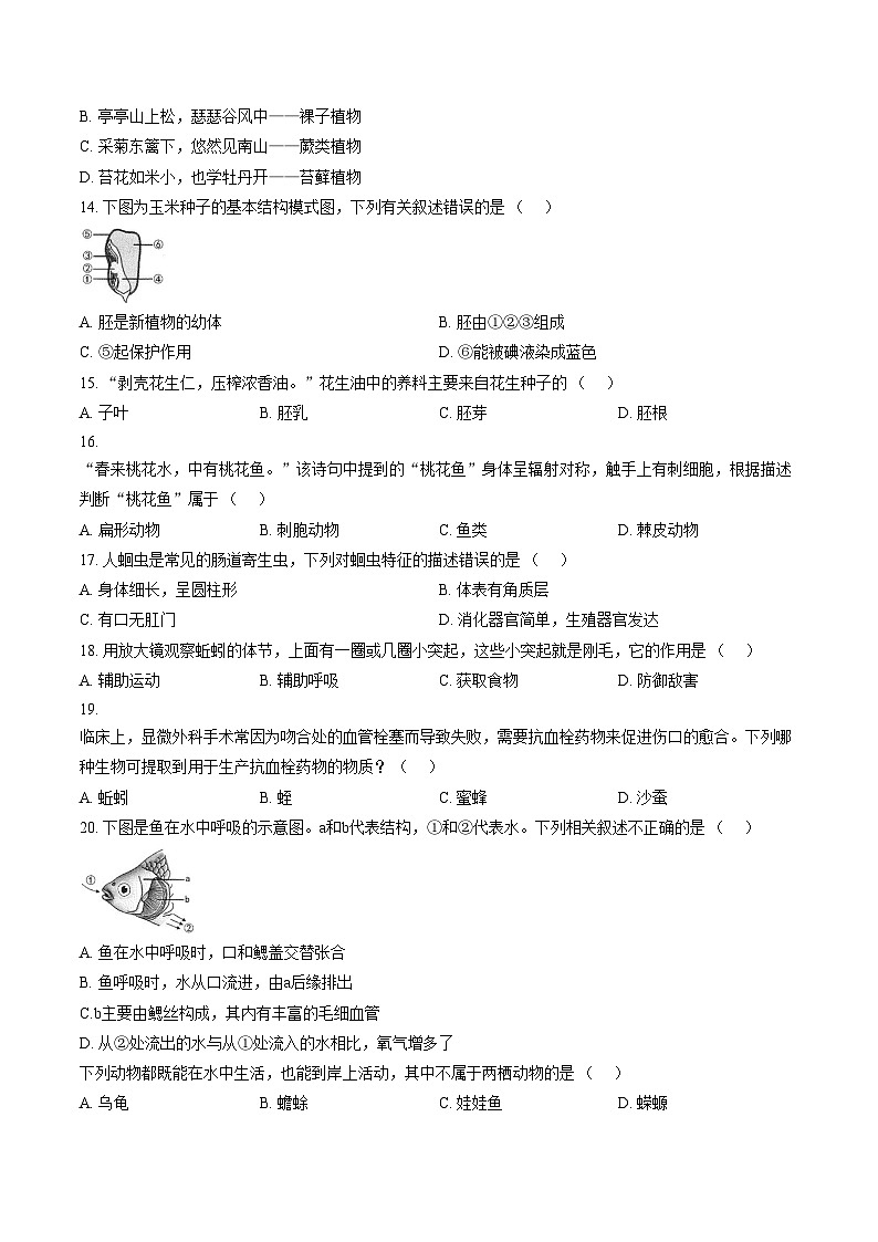 云南省怒江傈僳族自治州泸水市2025_2026学年七年级上学期期末教学质量检测七年级生物学试题（文字版，含答案）第3页